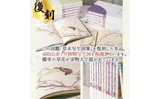 丹宗律光画集(全12巻)美術品 丹宗律光 画集 絵画 図鑑 古書 書籍【生涯学習課】akn012-02