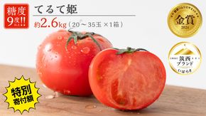 【 早期申込み限定 特別寄附額 】 てるて姫 大箱 約2.6kg × 1箱 【20〜35玉/1箱】 2026年産 野菜ソムリエサミット 金賞 糖度9度 以上 野菜 フルーツトマト フルーツ トマト とまと [AF109ci]