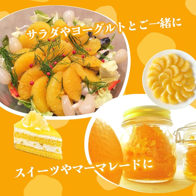 【 小豆島 】 甘夏柑 約5kg 柑橘 あまなつかん 果物 フルーツ 爽やか さっぱり くだもの 国産 香川 香川県 土庄 土庄町 