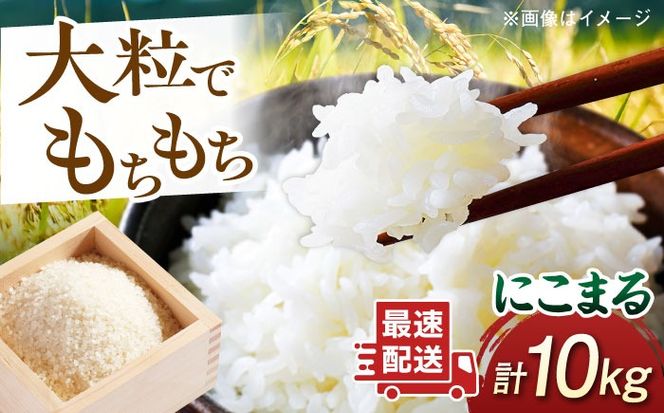 にこまる 玄米品質1等米 白米 10kg 糸島市産 糸島市 / 糸島の恵み コメ こめ ご飯[AGR002]