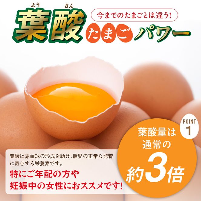 【3ヶ月定期便】【山ちゃん家の生みたて葉酸たまご】名古屋コーチン卵（30個入り）［132Y01-T］