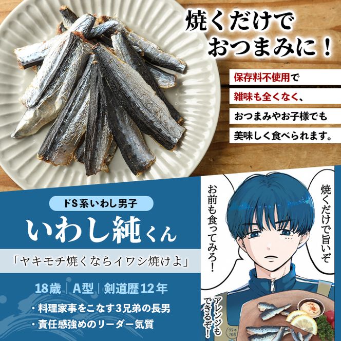 訳あり！いわし純＜いわし干物＞(計250g・50g×5P) 国産 鹿児島県産 阿久根市産 魚 魚介 水産 訳あり 訳アリ イワシ 鰯 真いわし 干物 おつまみ おやつ 【鈴木海産】akn091-04