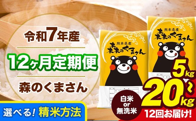 【12ヶ月定期便】令和7年産 無洗米 も選べる 森のくまさん 5kg 10kg  20kg 《お申込み翌月から出荷》 熊本県産 無洗米 白米 精米 ひの 米 こめ ふるさとのうぜい コメ 熊本米 定期便---mk7tei_132000_5kg_mo12_gkt_h---