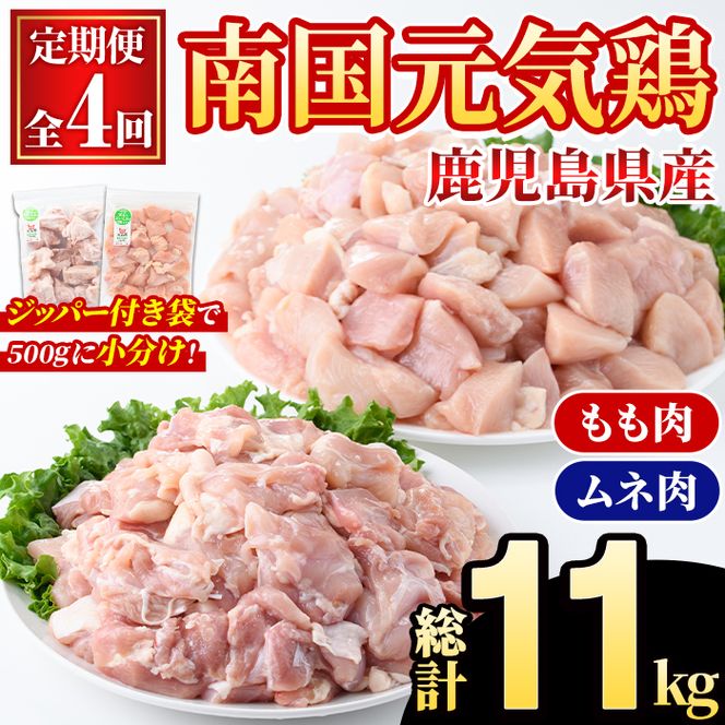 ＜定期便・全4回(隔月)＞鹿児島県産！南国元気鶏 もも肉・ムネ肉定期便(総計11kg) 国産 九州産 鹿児島産 モモ肉 鶏モモ むね肉 胸肉 鶏ムネ 小分け 定期便 おかず おつまみ 【さるがく水産】akn028-42