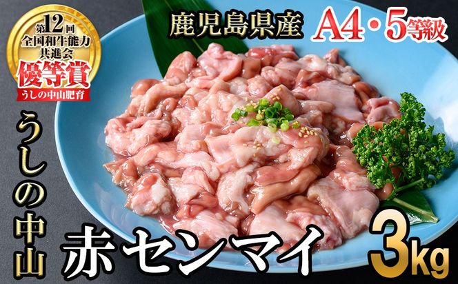 うしの中山 A4・A5等級黒毛和牛 赤センマイ（ギアラ）計3kg（500g×6P）c0-132