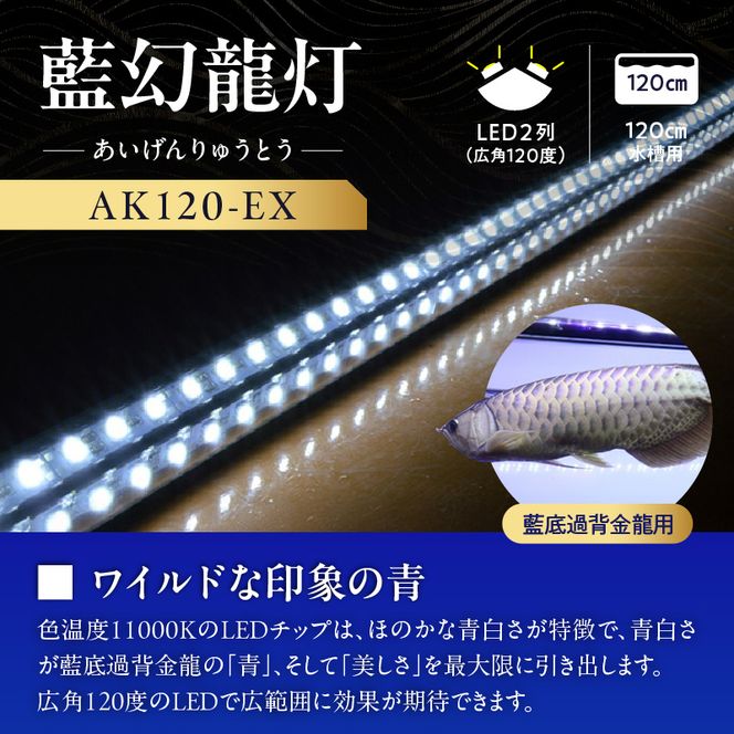 一瞬で綺麗に魅せる!金龍の青を最大限に強調する水中LEDライト|AK120-EX［172C18］金龍 専用 ワイルドブルー 青 水中 アロワナ 高輝度 水槽ライト テンニングライト LED ライト 照明 水中照明 光 綺麗 透明感 強化ガラス 吸盤 1年保証 簡単 設置 でんらい インテリア 雑貨 愛知県 小牧市 送料無料