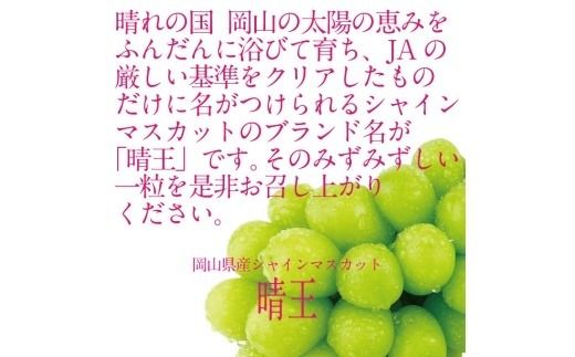 ぶどう 2026年 先行予約 9月・10月発送 シャインマスカット 晴王 1房 約750g ブドウ 葡萄 岡山県産 国産 フルーツ 果物 ギフト