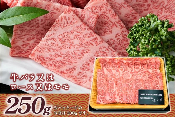 博多和牛 焼肉用 250g [MEAT PLUS 福岡県 宇美町 um40azp010055] ふるさと納税 牛肉 焼肉 焼き肉 肉 肩ロース肉 肩バラ肉 モモ肉 和牛 冷凍