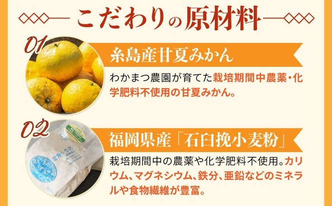 糸島甘夏みかんロールケーキ 1本 糸島市 / わかまつ農園[AHB064]