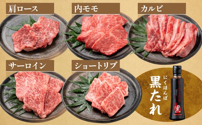 【数量限定】宮崎牛9種盛り焼肉セット_22-31-006-600g