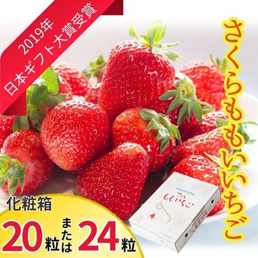 さくらももいちご 20粒または24粒入り化粧箱 ※2025年1月上旬頃から発送 ※北海道・沖縄・離島への配送不可