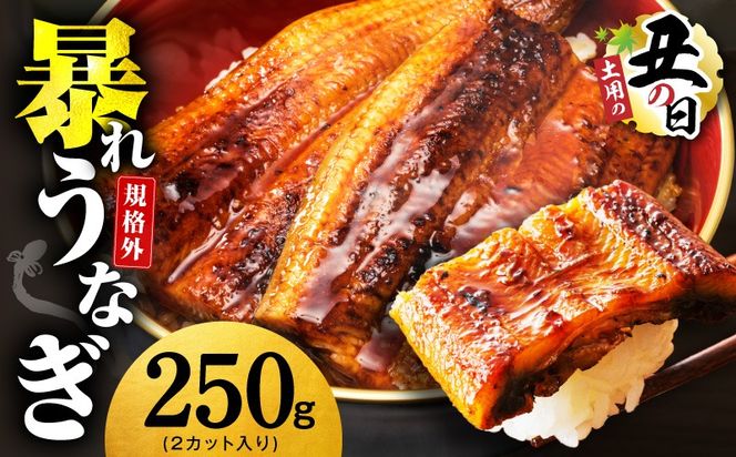 G3973d 【7/26土用の丑の日】うなぎ 暴れ盛り 250g（2カット）【規格外 お試し 鰻 かば焼き 簡単調理 訳あり サイズ不揃い 人気 惣菜 うな重 うな丼 ひつまぶし】