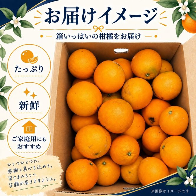 訳あり ネーブルオレンジ 約5kg サイズおまかせ アルギット 栽培 国産 甘い おいしい ジューシー 皮 薄い 完熟 期間限定 フルーツ 果物 人気 おすすめ 高級 こだわり ギフト 旬 山崎農園 和歌山 DT26