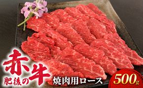 あか牛 焼肉 ロース 500g 肥後の赤牛 肉 お肉 牛肉 牛 焼き肉 焼肉用 