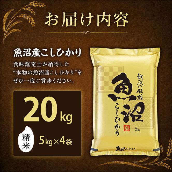 【令和8年産 先行予約】食味鑑定士厳選！魚沼産こしひかり ２０ｋｇ（５ｋｇ×４） 白米 安心 安全 こだわり 米 コシヒカリ 新潟県 十日町市