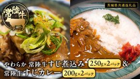 やわらか 常陸牛 すじ煮込み と すじカレー セット 各2パック 【茨城県共通返礼品】　カレー 牛すじ 煮込み お肉 牛肉 簡単 冷凍 レトルト