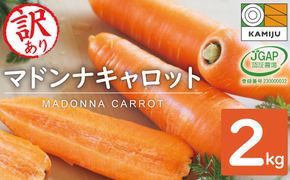 【期間限定】訳あり！こどもも食べられる甘み！「マドンナキャロット」 2kg にんじん 人参 ニンジン 野菜 やさい 国産 碧南市 健康 食品ロス削減 甘い 先行予約 旬 特産 高評価 高リピート 人気 H105-134