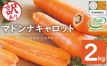 [期間限定]訳あり!こどもも食べられる甘み!「マドンナキャロット」 2kg にんじん 人参 ニンジン 野菜 やさい 国産 碧南市 健康 食品ロス削減 甘い 先行予約 旬 特産 高評価 高リピート 人気