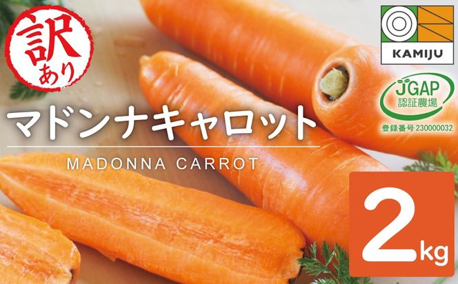 【期間限定】訳あり！こどもも食べられる甘み！「マドンナキャロット」 2kg にんじん 人参 ニンジン 野菜 やさい 国産 碧南市 健康 食品ロス削減 甘い 先行予約 旬 特産 高評価 高リピート 人気 H105-134