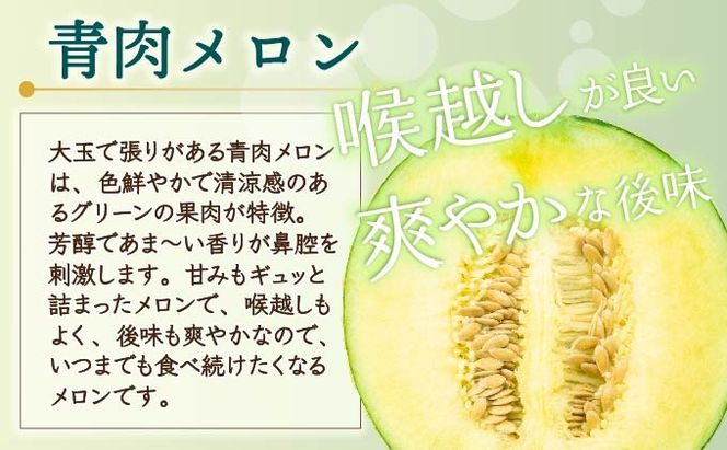＜2026年先行予約＞北海道産 有珠メロン 2玉 セット 赤肉 青肉 Lサイズ 1.6kg以上 各1玉 食べ比べ ツル付き 果物 めろん フルーツ くだもの 完熟 旬 ご褒美 ギフト お祝い 産地直送 お取り寄せ 北海道 藤川農園 送料無料 伊達
