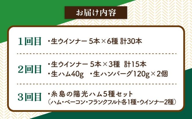 【全3回定期便】 ウインナー / ハンバーグ / ハム 月替り セット 糸島市 / 志摩スモークハウス 生ハム ベーコン[AOA038] 定期便 生 ウインナー ソーセージ ハンバーグ お肉