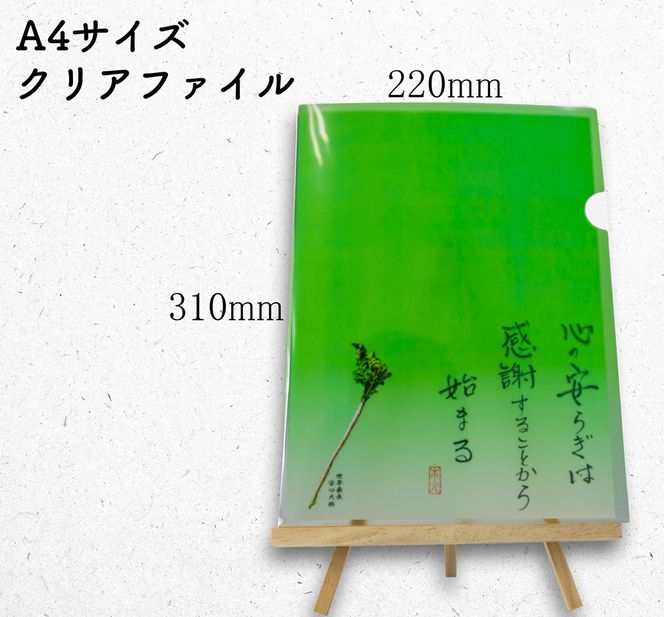 オールケアクリアファイルA4｜名言 格言 詩人 言葉 ことば 夢 勇気 元気 メッセージ [2569]