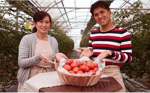 【2026年度予約分】【お試し】期間限定！プレミアムフルーツトマト　H004-145