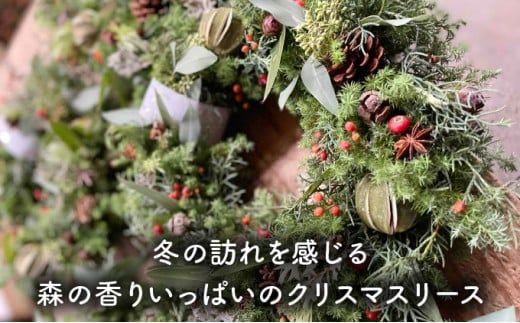 ＜季節限定＞森の香りの「クリスマスリース」 C-472