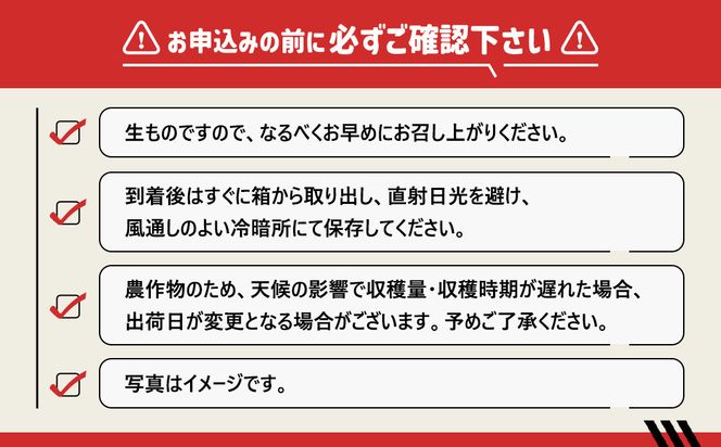 有田育ちの 旬の 柑橘 詰合せセット（ご家庭用）約7.5kg［先行予約］［MS163］ 303446_XD90311