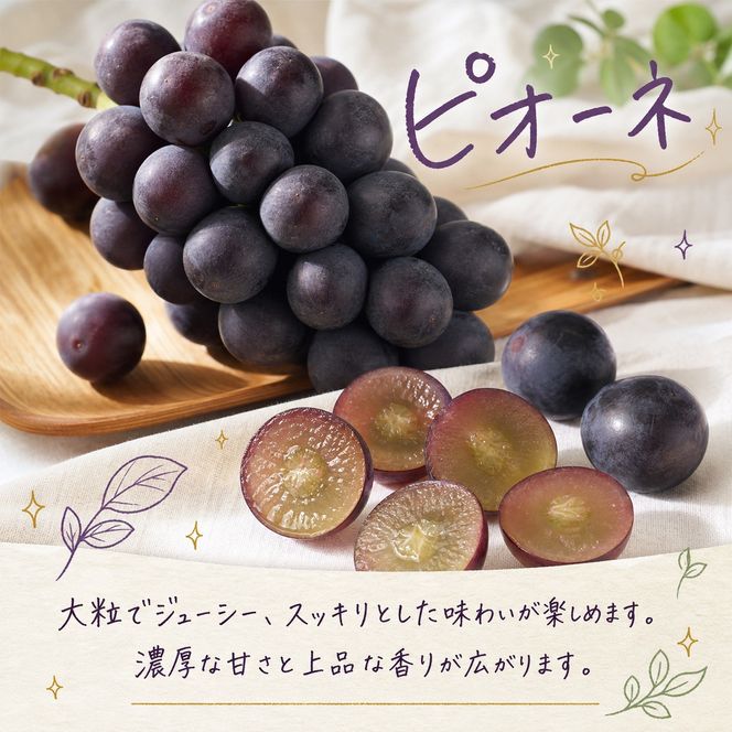 【2・7・9月 全3回】紀州和歌山産旬のフルーツセット（いちご・桃・ピオーネ）【UT95】 303446_XF91152