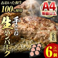 おおいた和牛 100% 手ごね 生ハンバーグ (計900g・150g×6個) 国産 牛肉 肉 霜降り A4 和牛 ブランド牛 冷凍 大分県 佐伯市【DH267】【(株)ネクサ】