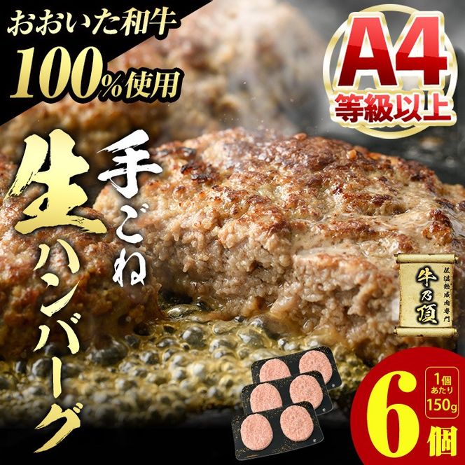 おおいた和牛 100% 手ごね 生ハンバーグ (計900g・150g×6個) 国産 牛肉 肉 霜降り A4 和牛 ブランド牛 冷凍 大分県 佐伯市【DH267】【(株)ネクサ】