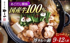 やまや 博多もつ鍋 あごだし醤油味(9〜12人前) 《築上町》【株式会社やまやコミュニケーションズ】 なべ 博多もつ鍋 人気 おすすめ[ABES023]