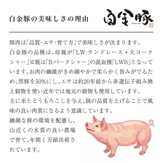 白金豚の２人de５種食べ比べセット 【563】