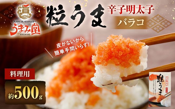 yɕ{sz܂ݓ  p hqq oR 500g hqq hq߂񂽂 q ߂񂽂 ΂炱 ӂ邳Ɣ[  Ⓚ