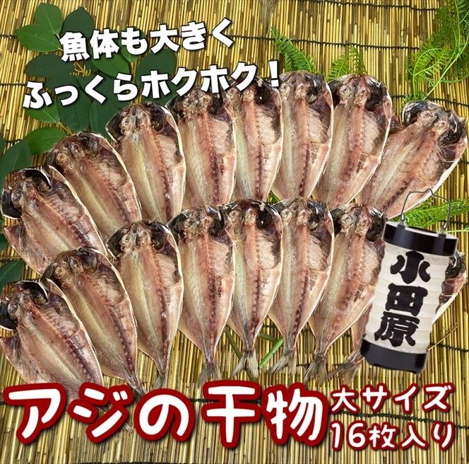 104-3093 鯵の干物 大サイズ 16枚セット