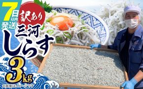 訳あり 3kg！バラエティ豊富な三河しらす H018-069