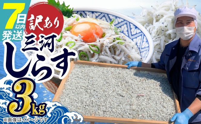 訳あり 3kg！バラエティ豊富な三河しらす H018-069