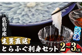 ＜瞬間凍結＞生簀直送 とらふぐ 刺身 セット (2-3人前) 魚 鮮魚 ふぐ 河豚 刺し身 刺身 さしみ ポン酢 もみじおろし 冷凍 佐伯 養殖 大分県 佐伯市【EA29】【(株)トーワ】