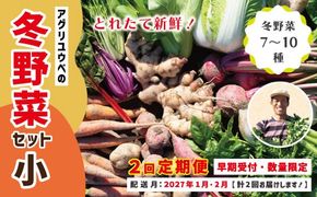 【 2回定期便 早期受付 数量限定 】アグリユウベの冬野菜セット (小) とれたて 新鮮 農家直送 国産 野菜 野菜便 やさい 野菜 冬野菜 産地直送 国産 旬 高知県 四万十市 四万十 しまんと 定期便 【配送月：2027年1月・2月】26-398