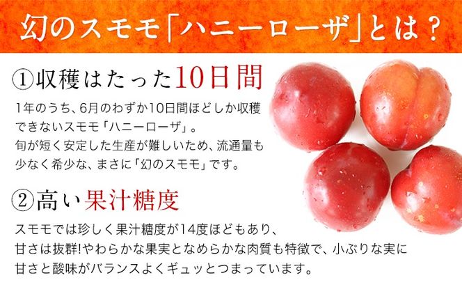 玉東町の自然に育まれたハニーローザをジャムに！【ハニーローザ】コンフィチュールセット 選べる 2個 3個 熊本県玉名郡玉東町 ぷらっとぎょくとう《60日以内に出荷予定(土日祝除く)》---gkt_prt_18_2k---