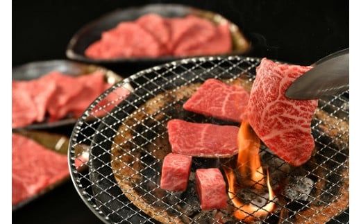 松阪牛焼肉用（肩・モモ・バラ）300ｇ【000492】