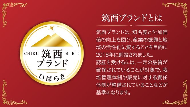 スーパーフルーツトマト 大箱 約2.6kg × 2箱 【大玉 20～35玉/1箱】 糖度9度 以上 トマト とまと フルーツトマト フルーツ 野菜 やさい 高糖度 [AF034ci]