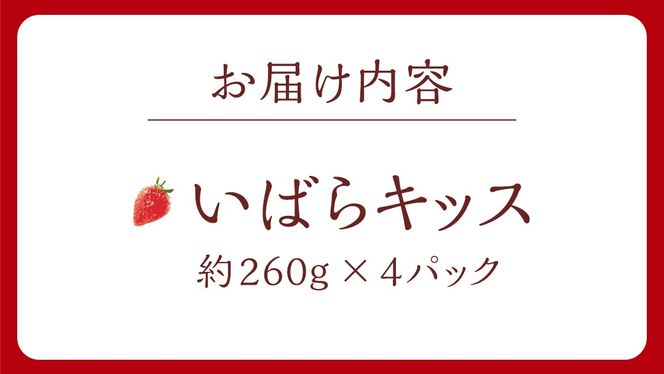 【 茨城いちごグランプリ 受賞 農園 】 完熟 いばらキッス 4パック 茨城県オリジナル品種 イチゴ 苺 フルーツ 果物 果実 [DY003ci]