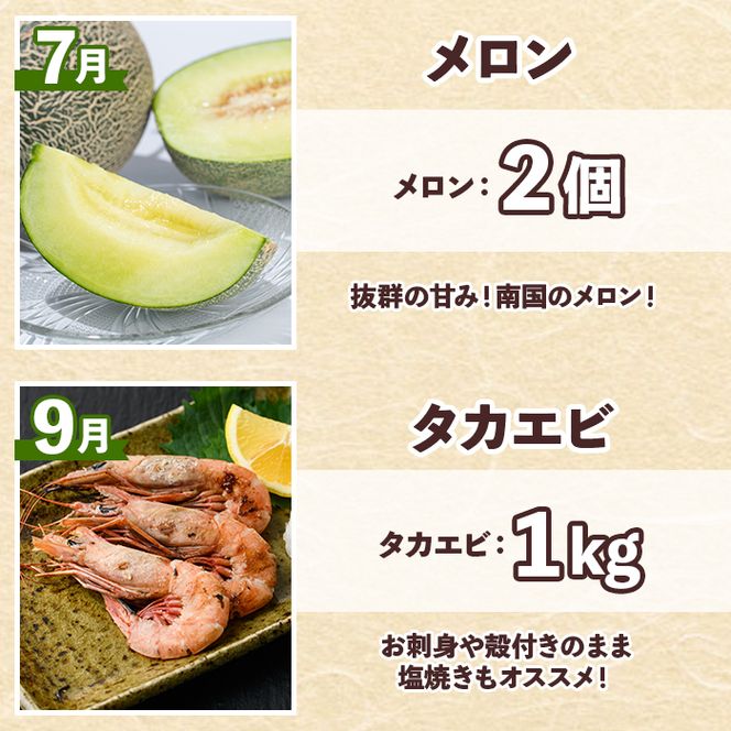 ＜定期便・全6回(奇数月)＞阿久根市の山の幸・海の幸(ぼんたん・不知火・タカエビ・メロン・伊勢海老など)国産 柑橘 みかん フルーツ 果物 魚介 頒布会【松永青果】akn053-37