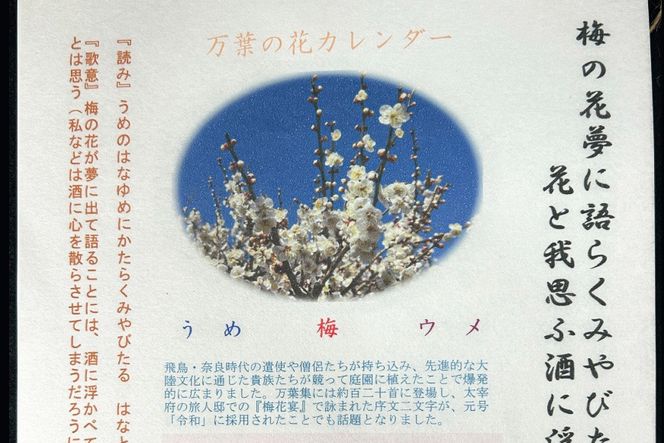万葉の花カレンダー（細川紙） 新年度 令和9年版 [NPO法人紫草と万葉の会 埼玉県 小川町 045] カレンダー 令和 手漉き和紙 伝統 数量限定
