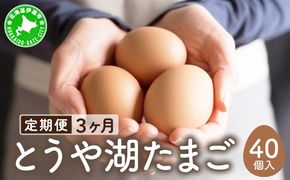 【3ヵ月 定期便】 北海道 伊達市 とうや湖 卵  40個 入り たまご