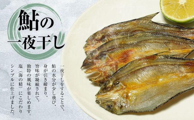 すだち鮎一夜干し 20~25cm×5枚 冷凍 有限会社岩崎商店 《30日以内に出荷予定(土日祝除く)》│ 徳島県産 あゆ アユ 魚 魚介 川魚 塩焼き 甘露煮 徳島県 佐那河内村---sanagouchi_ist_1_5mi---