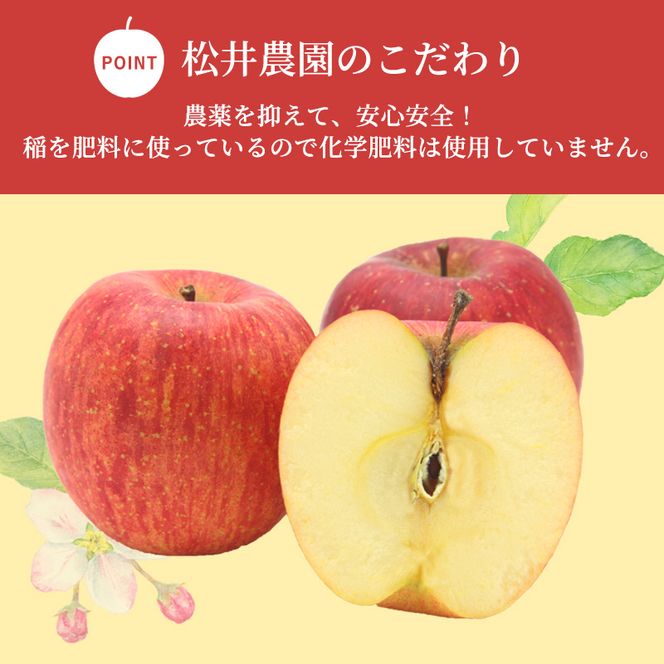 りんご【自家用りんご 秋映 5kg】信州りんご リンゴ 林檎 果物 くだもの フルーツ 信州 長野