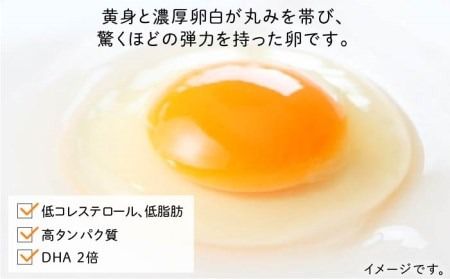 たまごかけご飯 セット ★ 卵 10個 / お米 2kg / たまごかけ ご飯 専用 醤油 《糸島》【株式会社おおはまファーム】 [AKH009]